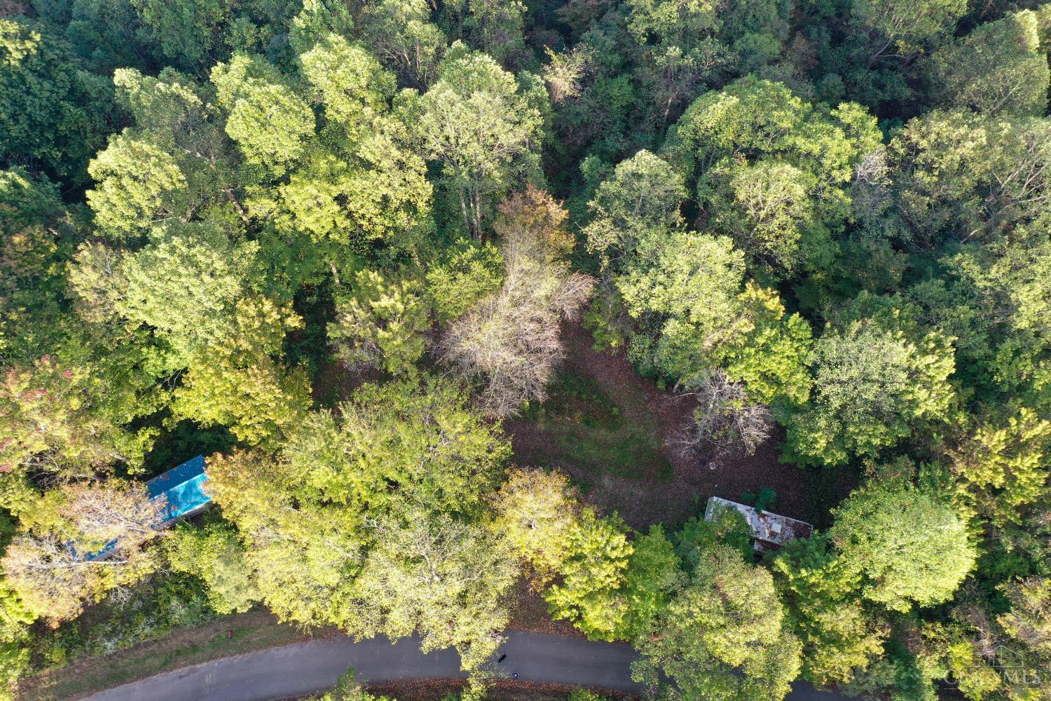 1285 Nelson Road Lucasville, OH 45648 - Photo 2 of 17