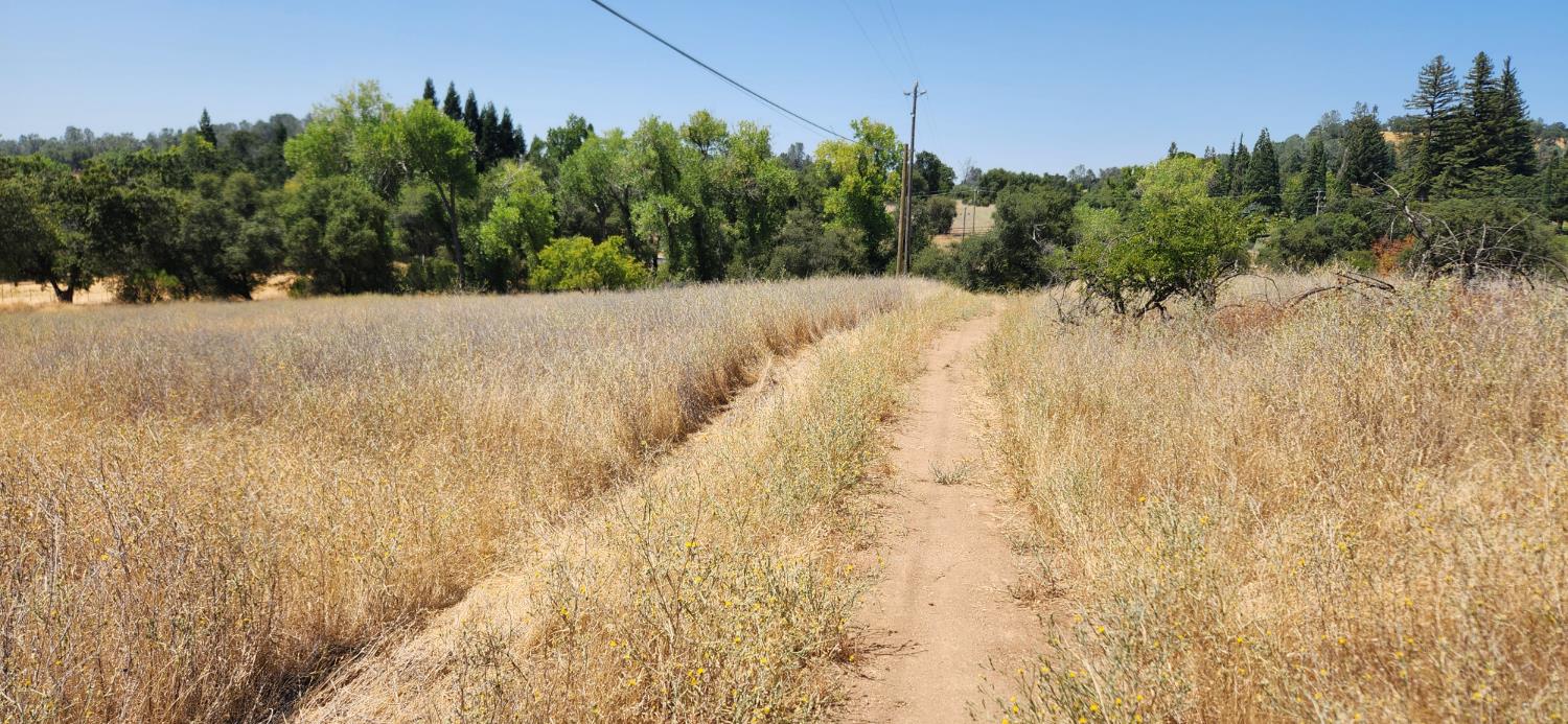 a view of a yard covered with snow