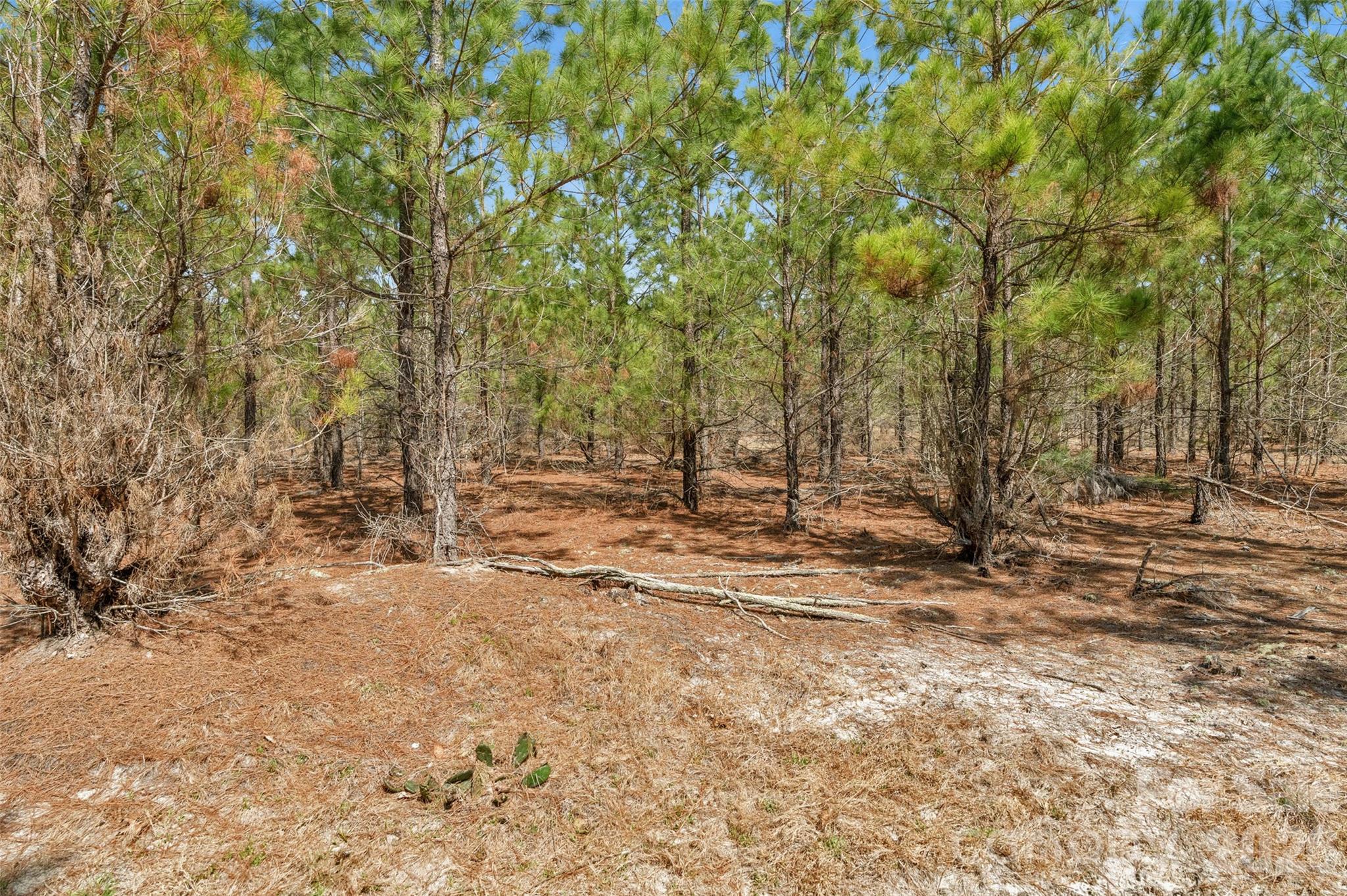 931 Charlie Johnson Road, Unit 7 Kershaw, SC 29067 - Photo 18 of 34