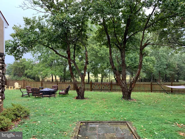 a view of park with trees