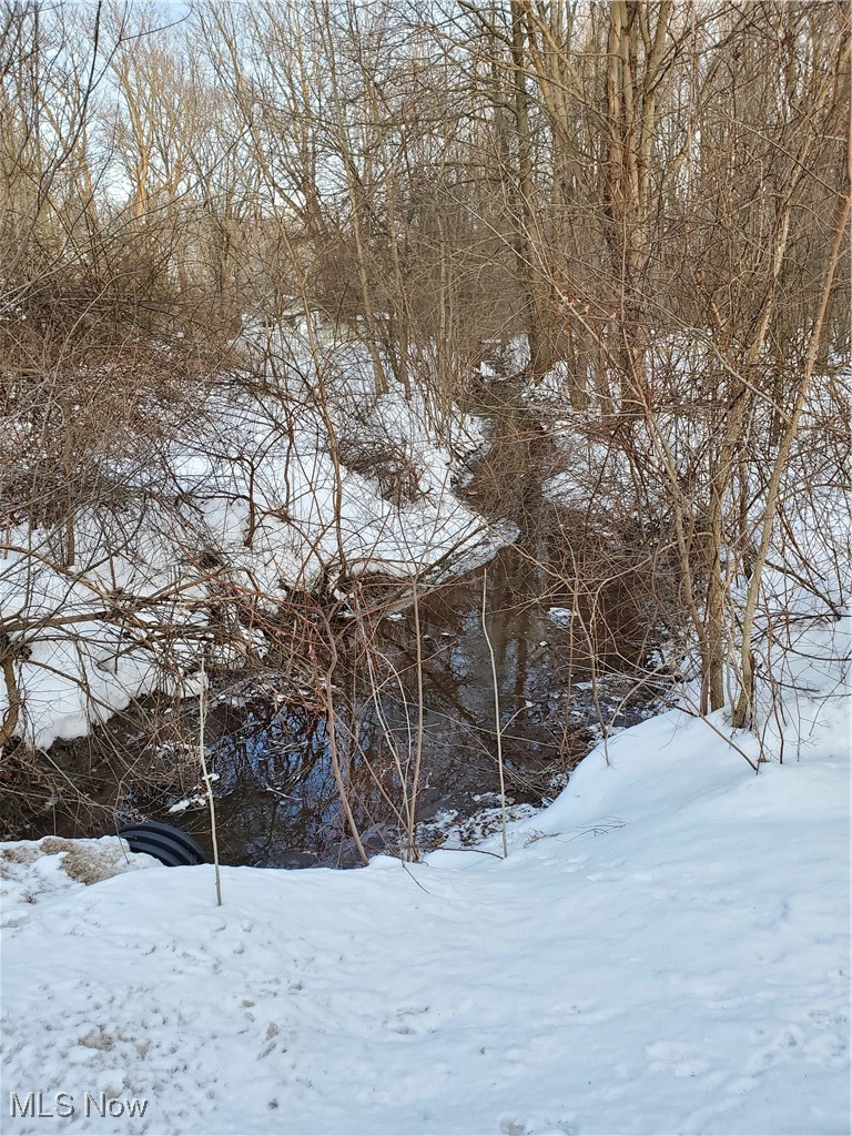 Walter Main Road Geneva, OH 44041 - Photo 5 of 5 Creek on Northside