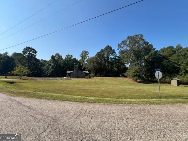 a view of backyard with green space