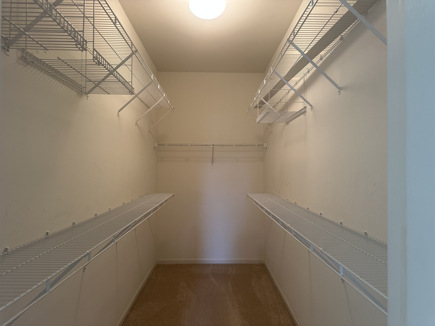 13053 Dearborn Trail Huntley, IL 60142 - Photo 12 of 16