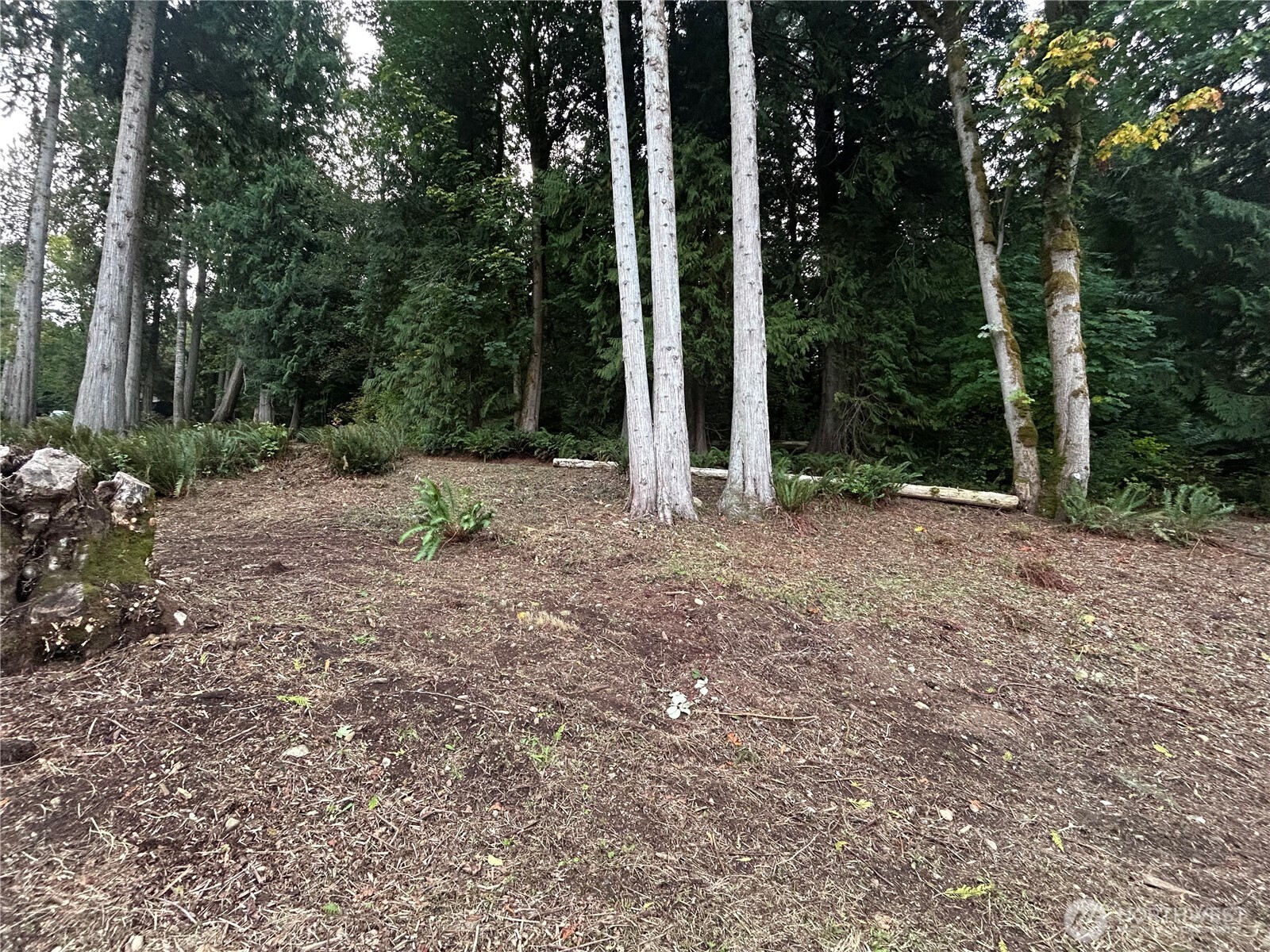 715 Samish Heights Lane Bellingham, WA 98229 - Photo 5 of 14