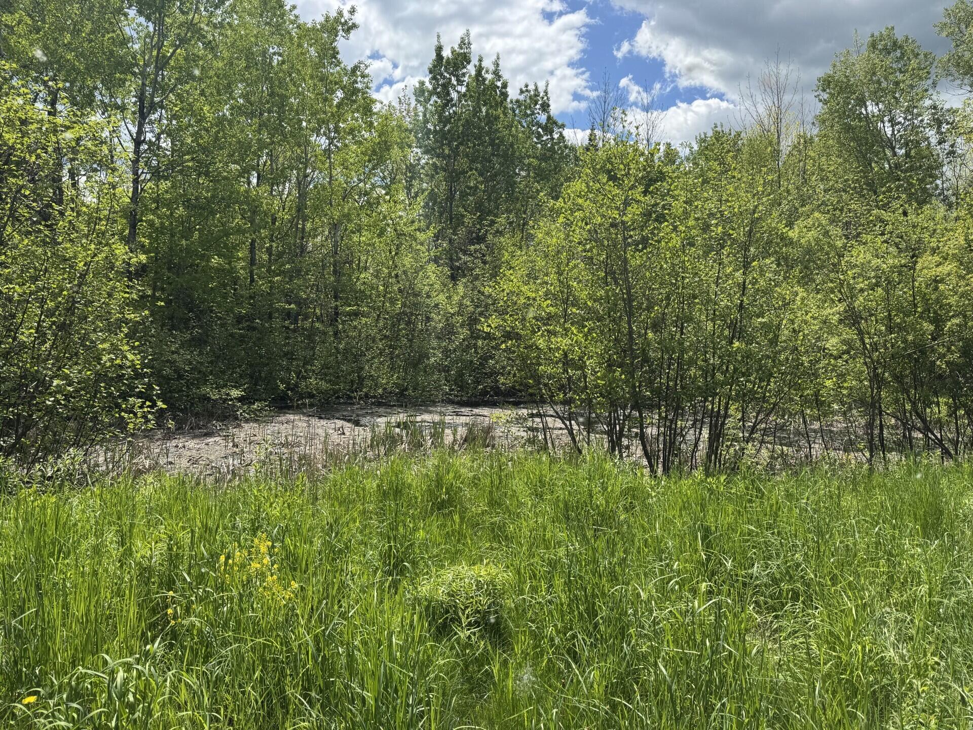 328 Clark Road Merrill, ME 04780 - Photo 51 of 55 West Pond (328 Clark Road) II