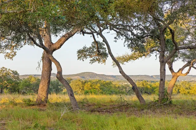a large body of water with a tree in the background