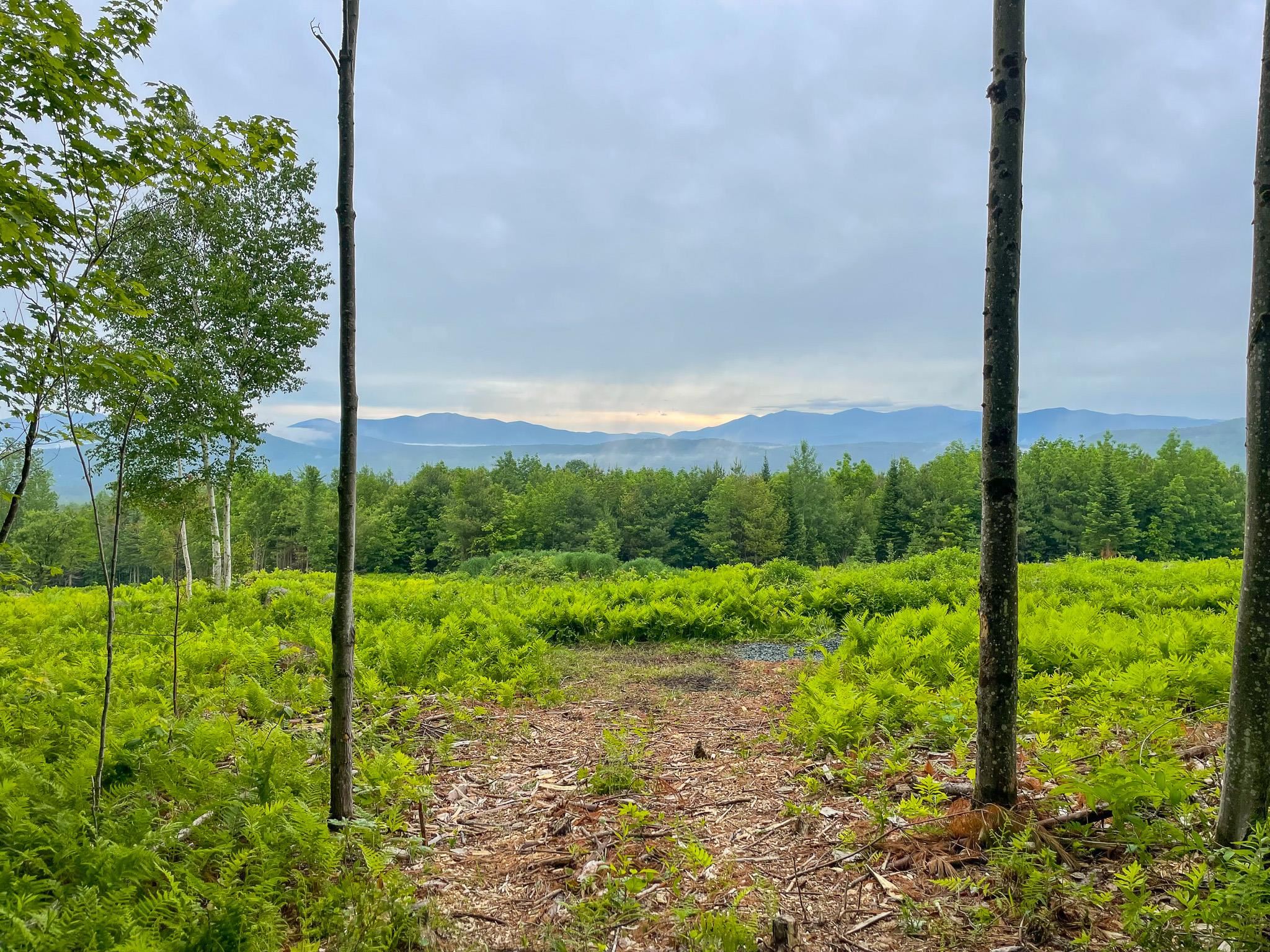 0 Powers Road Lunenburg, VT 05906 - Photo 4 of 39