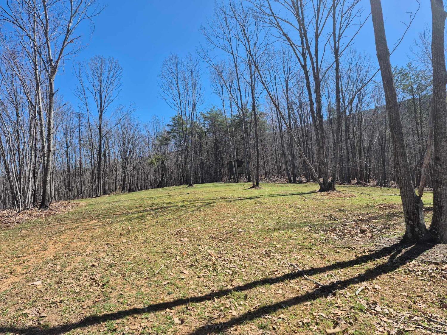 1045 Poor House Road Rustburg, VA 24588 - Photo 16 of 27 Gallery Image 16