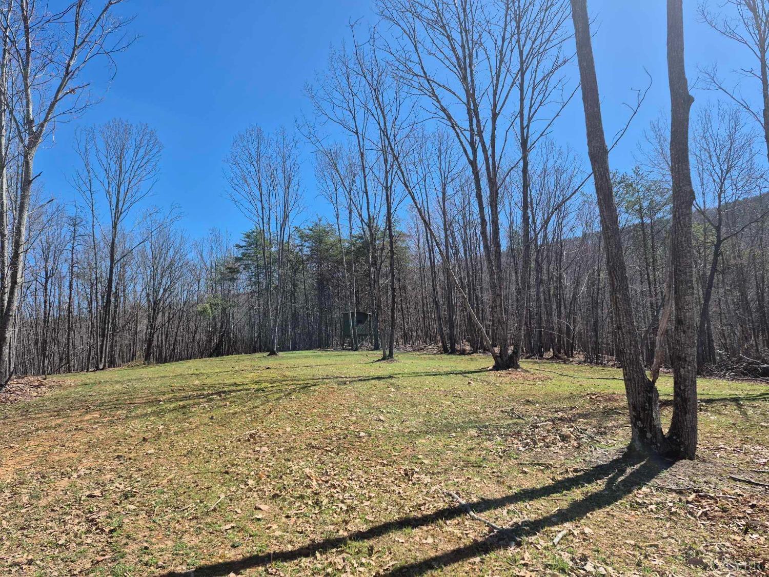 1045 Poor House Road Rustburg, VA 24588 - Photo 17 of 27 Gallery Image 17