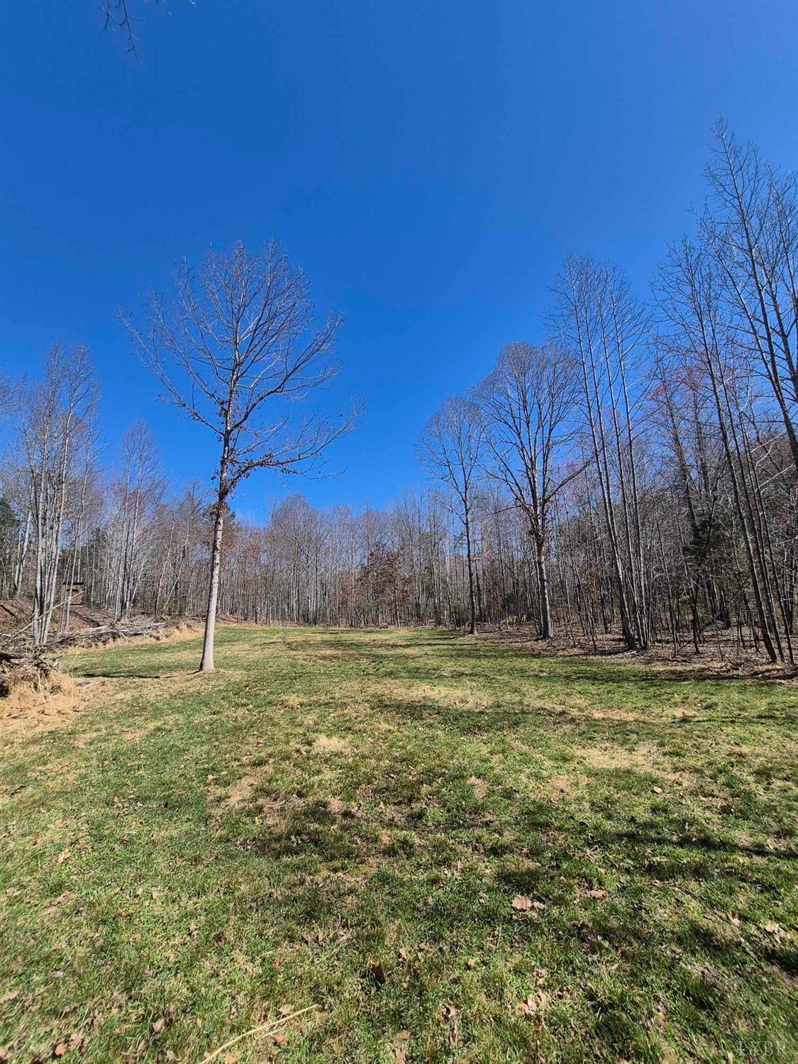 1045 Poor House Road Rustburg, VA 24588 - Photo 19 of 27 Gallery Image 19