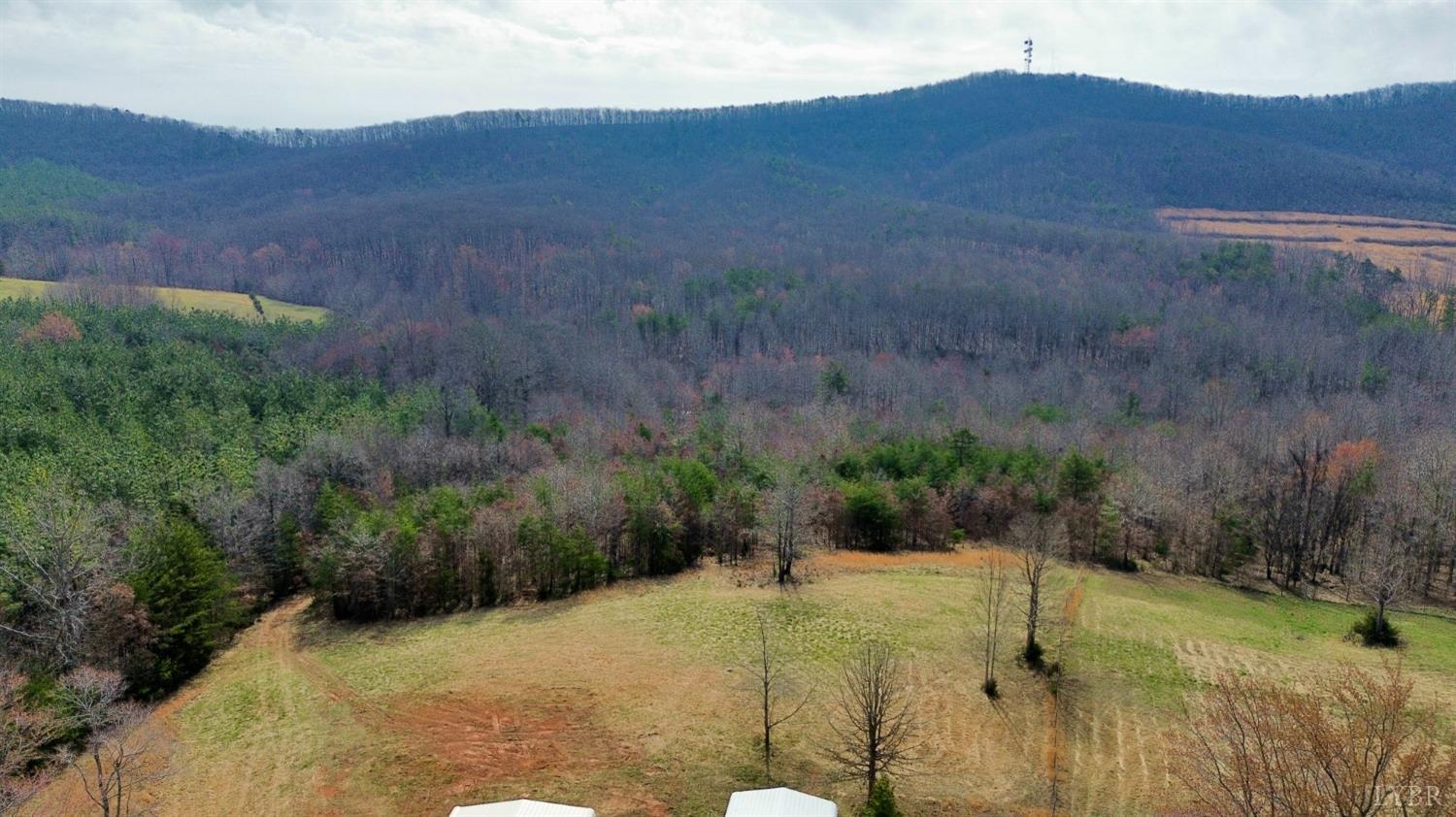 1045 Poor House Road Rustburg, VA 24588 - Photo 2 of 27 Gallery Image 2
