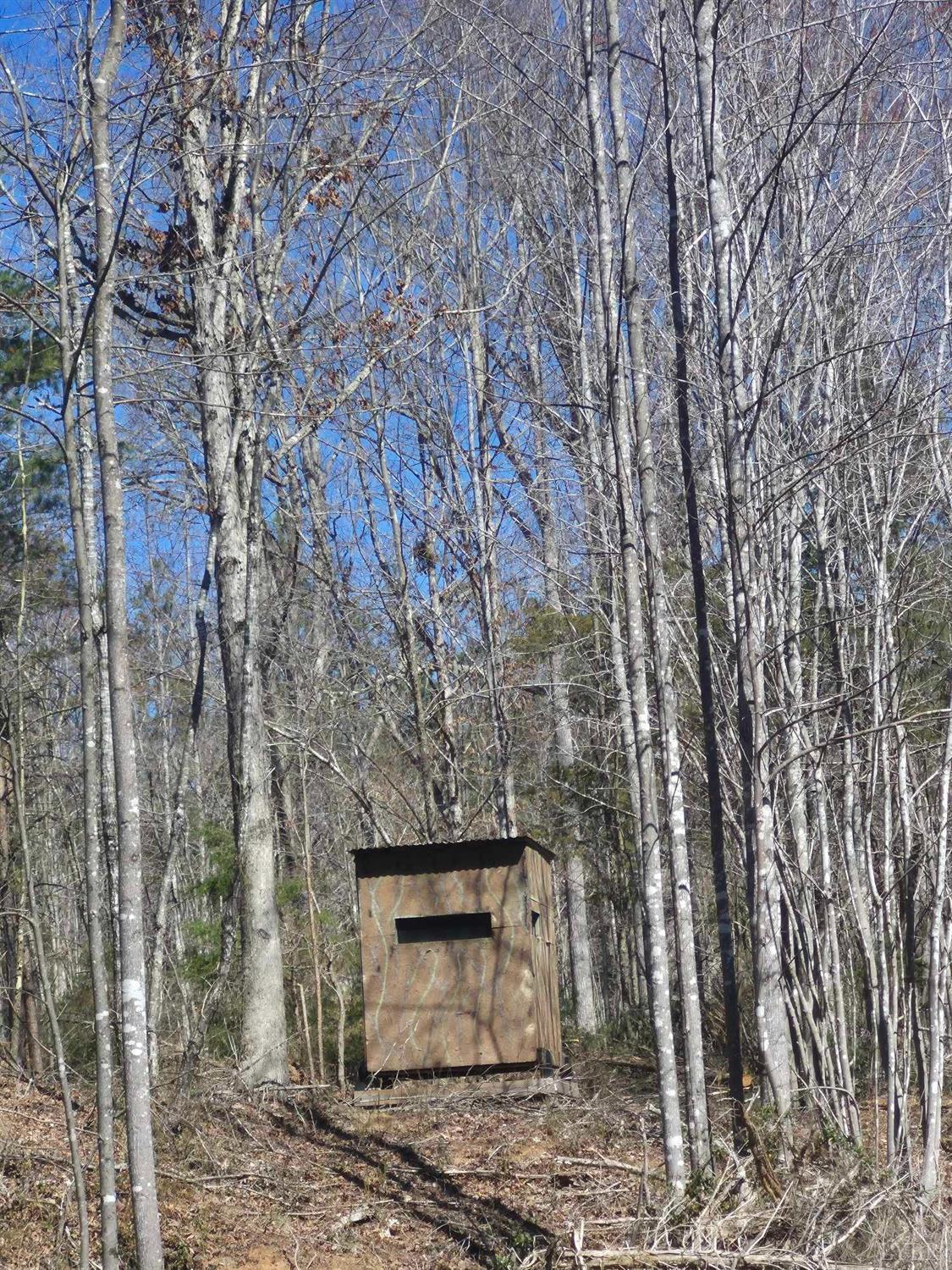1045 Poor House Road Rustburg, VA 24588 - Photo 21 of 27 Gallery Image 21