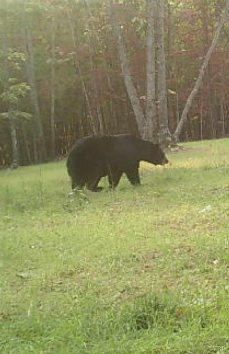 1045 Poor House Road Rustburg, VA 24588 - Photo 23 of 27 Gallery Image 23