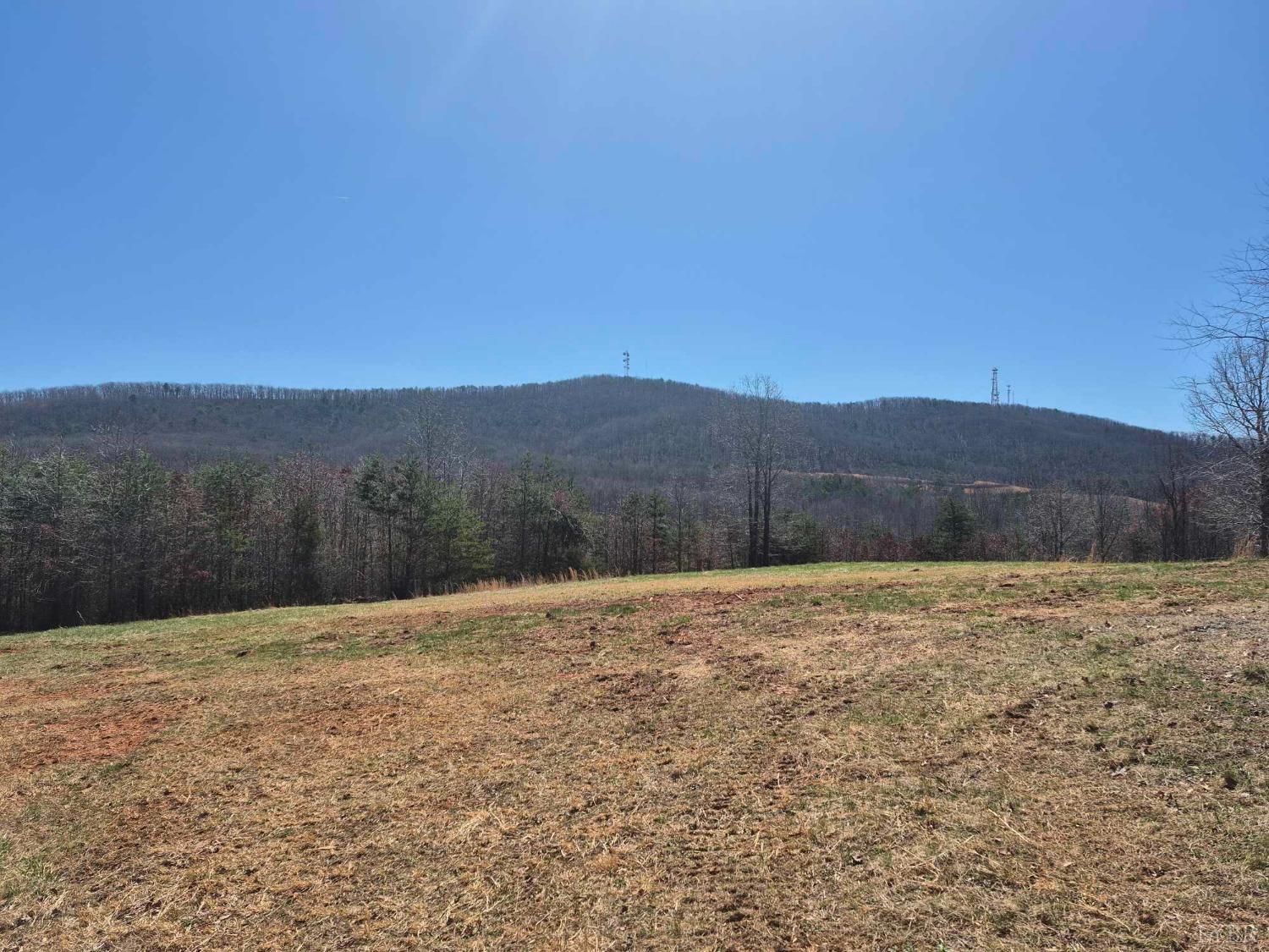 1045 Poor House Road Rustburg, VA 24588 - Photo 3 of 27 Gallery Image 3