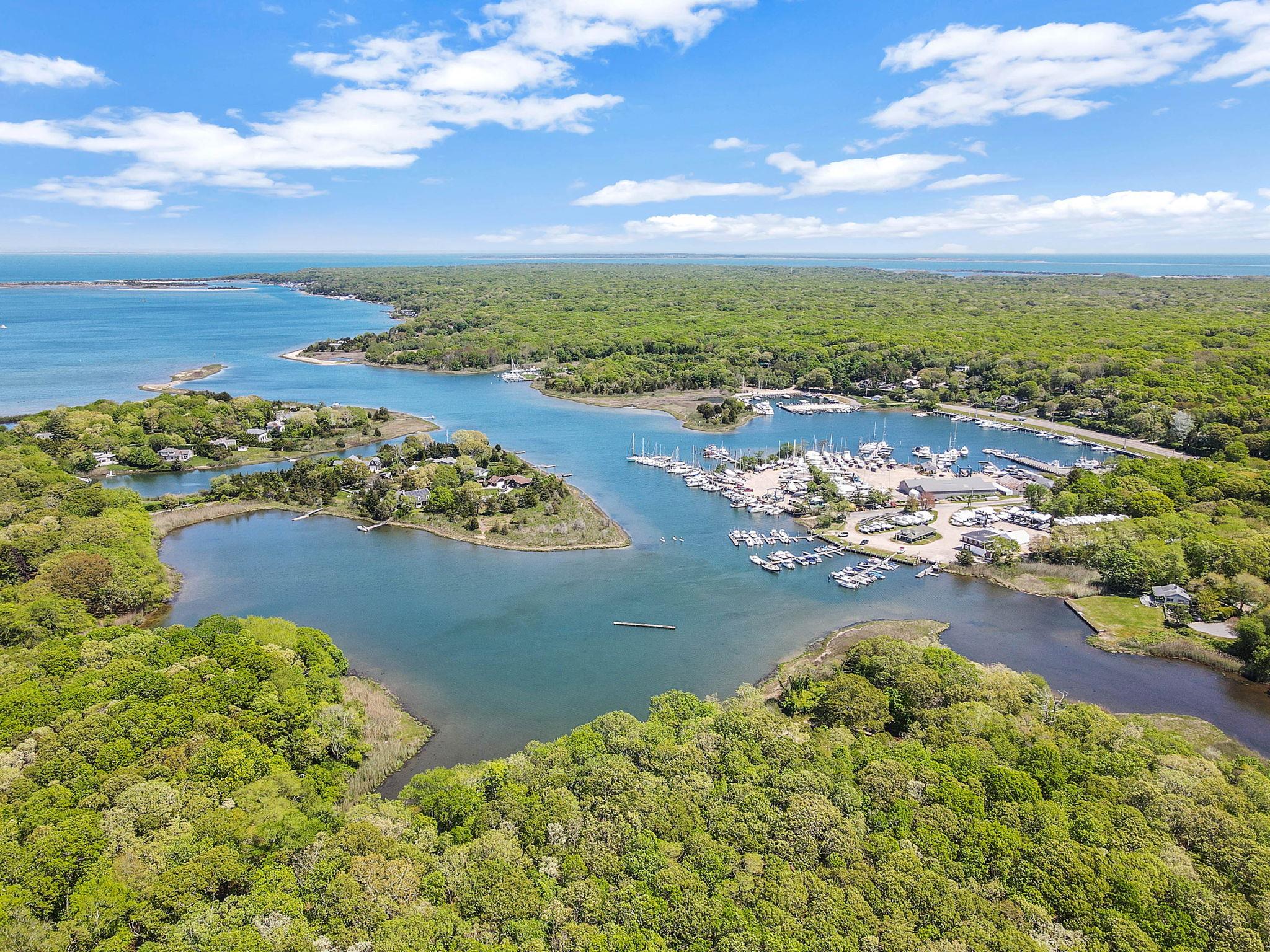 28 Huntting Road East Hampton, NY 11937 - Photo 14 of 14 Bird's eye view of a forest and a large body of water