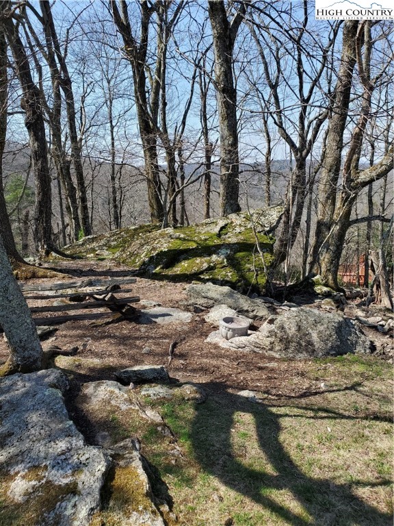 276 Locust Point Drive Boone, NC 28607 - Photo 6 of 29 Gallery Image 6