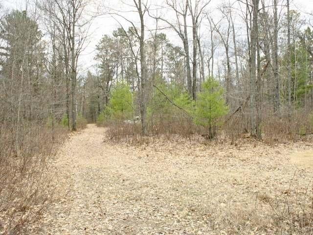 4609 Highway 47 Rhinelander, WI 54501 - Photo 16 of 20 Gallery Image 16