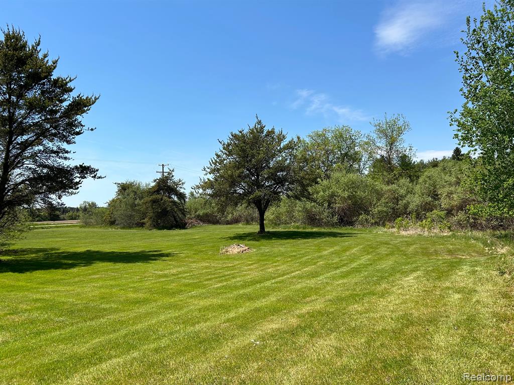 6725 Townsend Road Applegate, MI 48401 - Photo 17 of 32