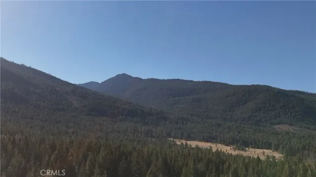 a view of a lush green forest with mountains in the background