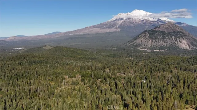 $78,000 | 0 Muledeer Drive, Weed, CA 96094