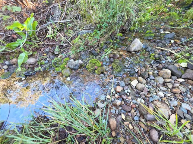a view of a tree in a field of a house