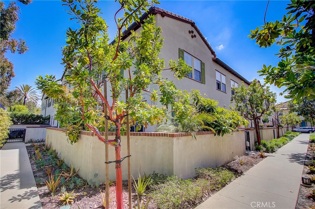 809 El Paseo Lake Forest, CA 92610 - Photo 31 of 45 a picture of plants