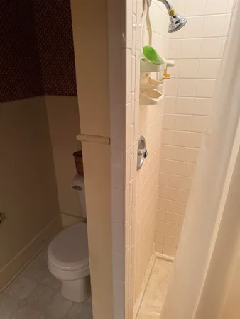 a white toilet sitting next to a shower