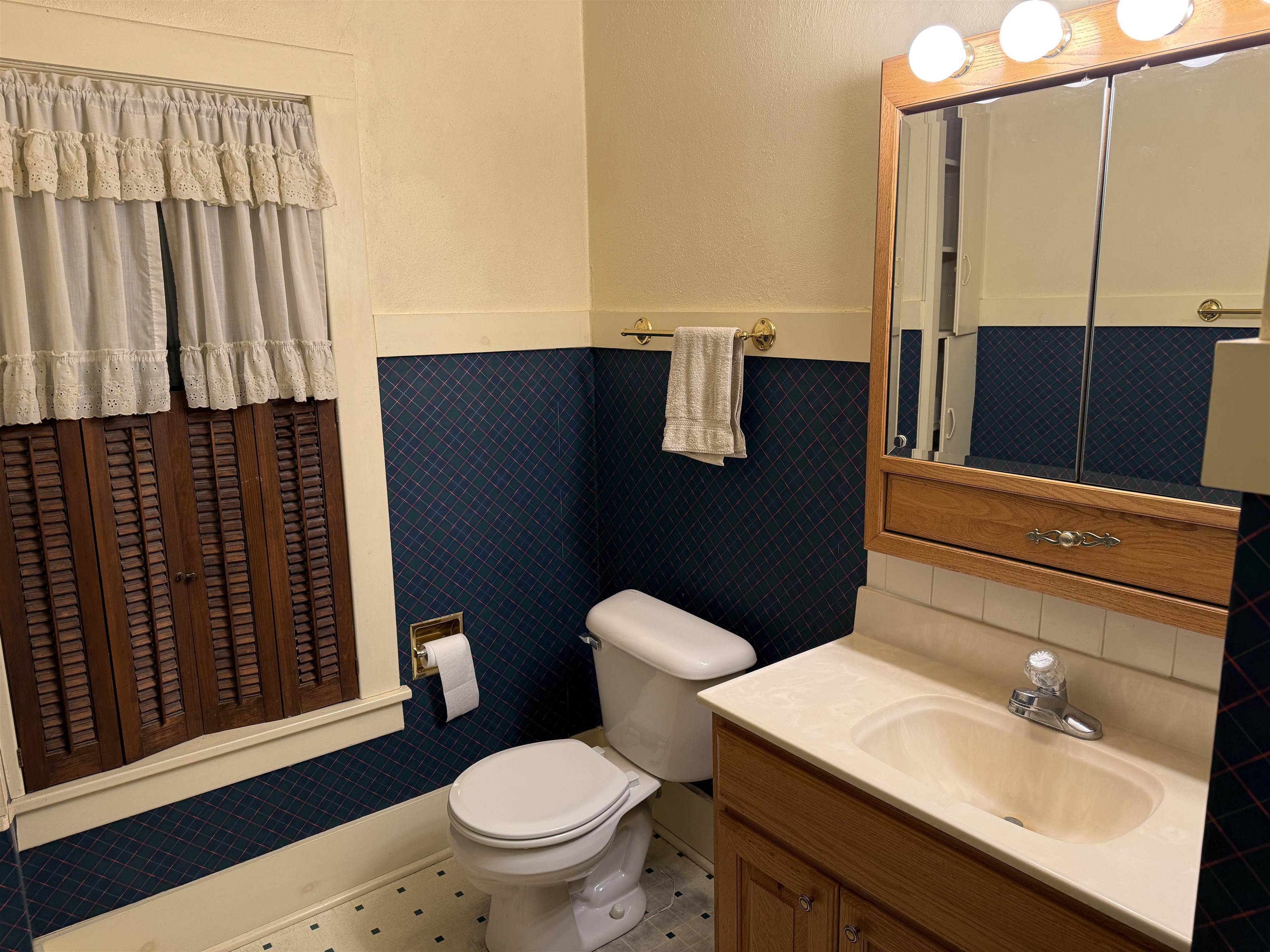 1629 West Harrison Street Freeport, IL 61032 - Photo 17 of 36 a bathroom with a sink a toilet and shower