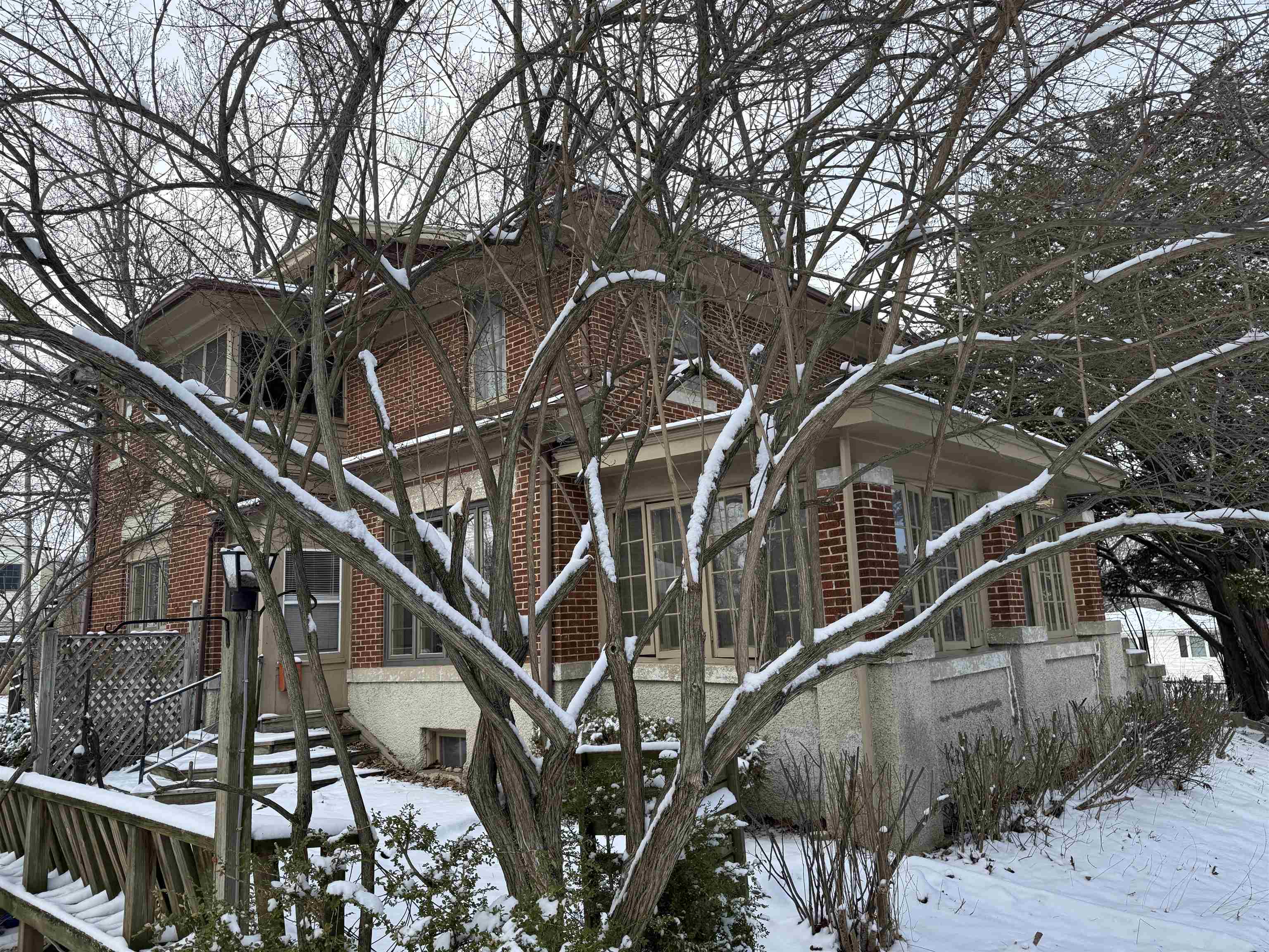 1629 West Harrison Street Freeport, IL 61032 - Photo 31 of 36 a view of a house with a tree