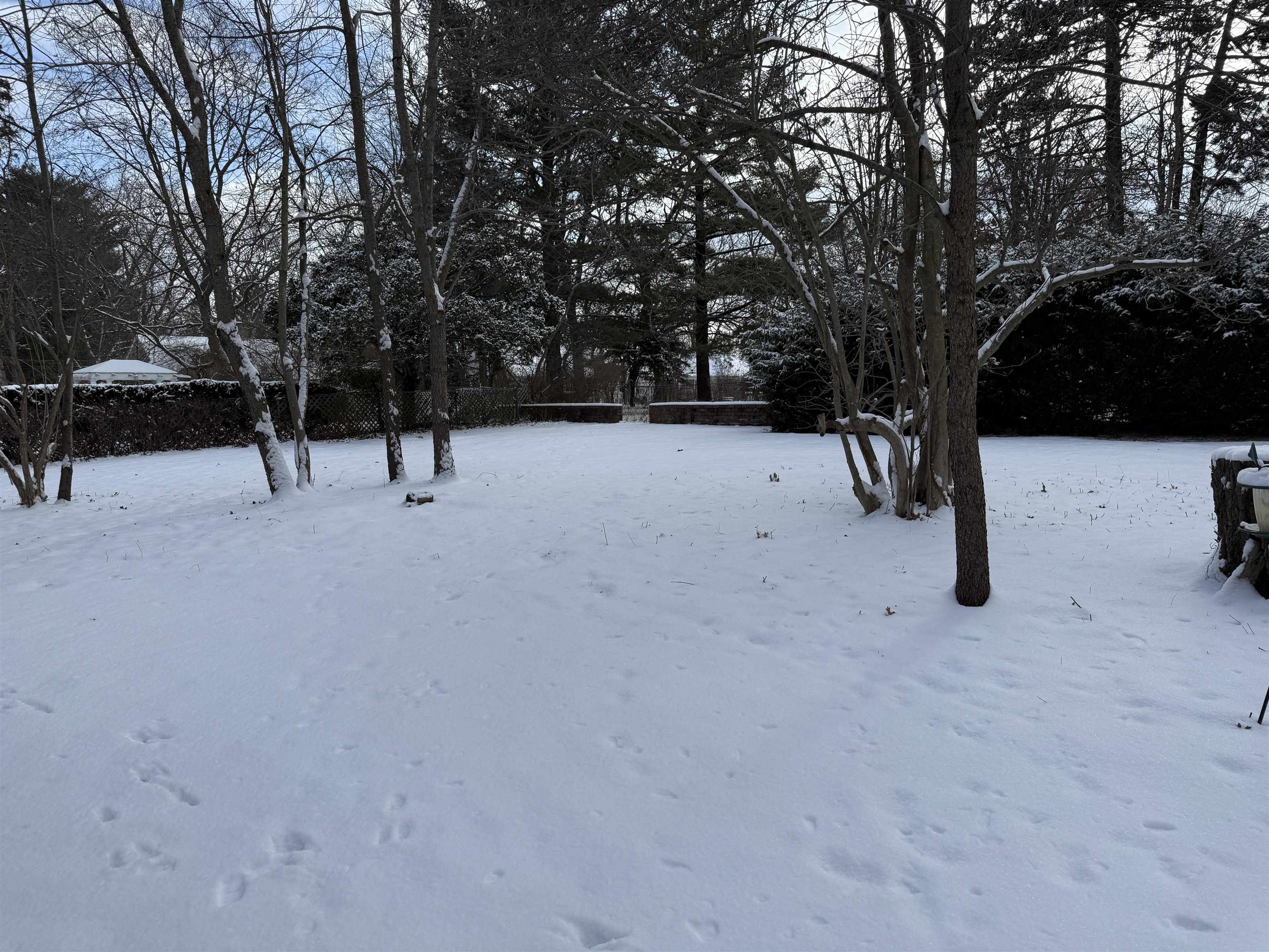 1629 West Harrison Street Freeport, IL 61032 - Photo 36 of 36 a view of open space with trees