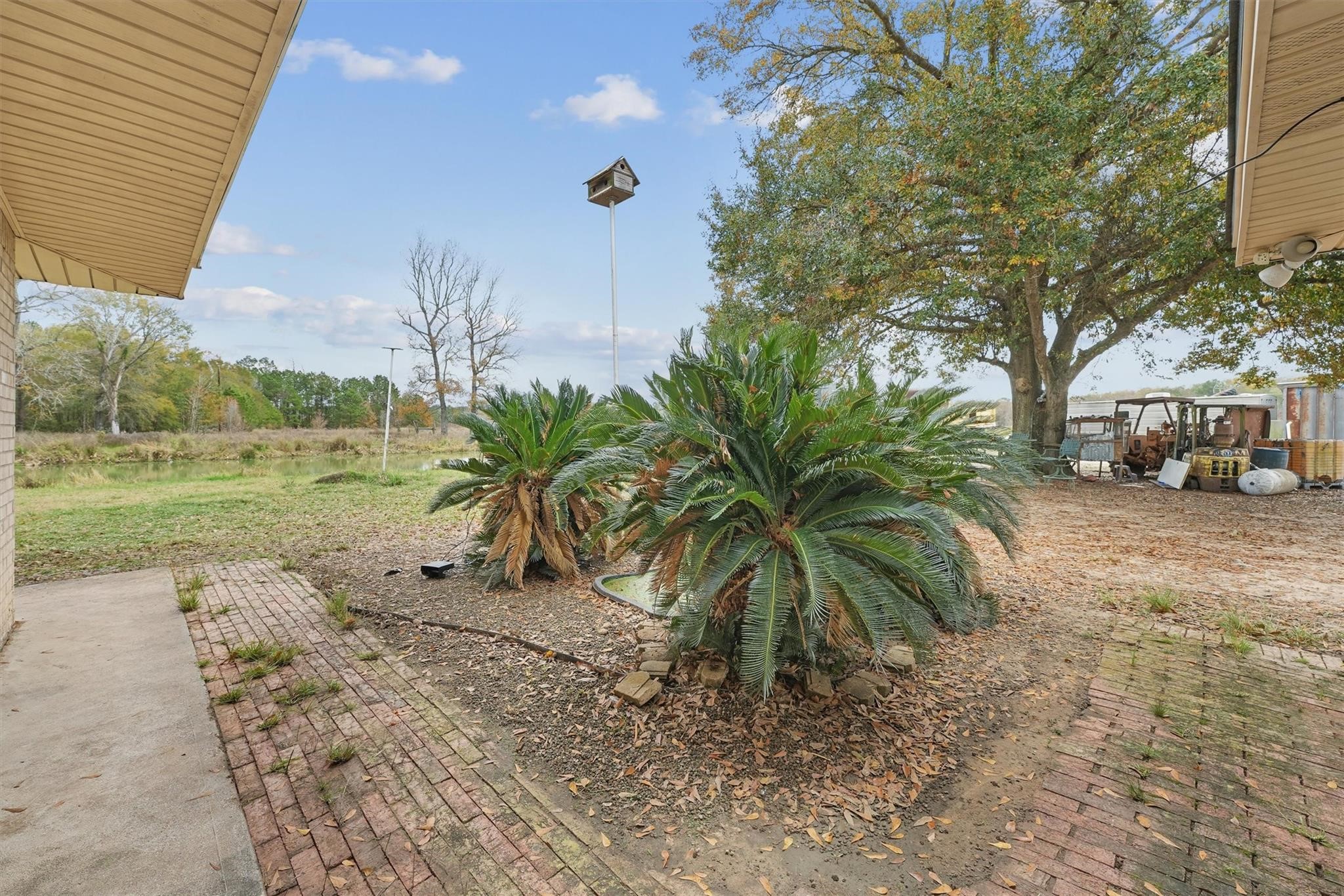 850 County Road 2145 Cleveland, TX 77327 - Photo 33 of 43 a view of a yard with a tree