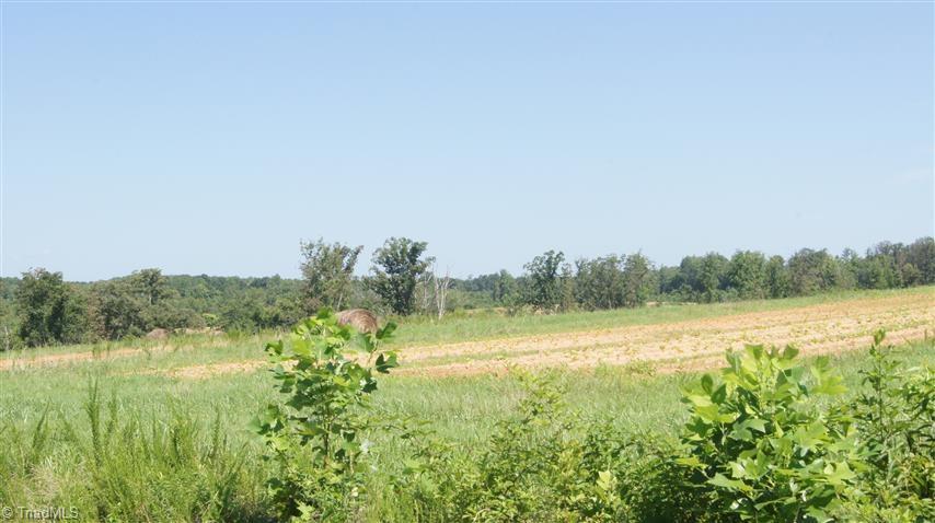143-ac Kallam Road Sandy Ridge, NC 27046 - Photo 14 of 21