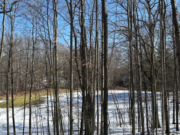 $9,900 | 9570 Pere Marquette Drive, Unit 10, Canadian Lakes, MI 49346