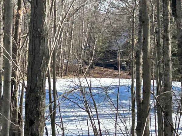 $9,900 | 9570 Pere Marquette Drive, Unit 10, Canadian Lakes, MI 49346