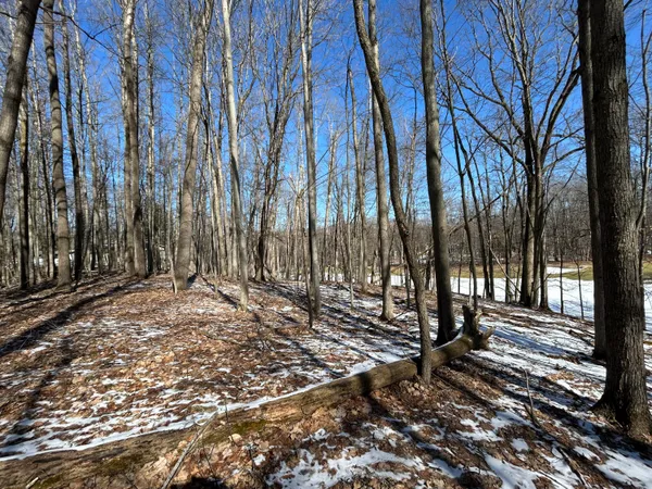 $9,900 | 9570 Pere Marquette Drive, Unit 10, Canadian Lakes, MI 49346