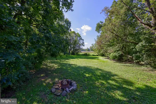 a view of a lush green space