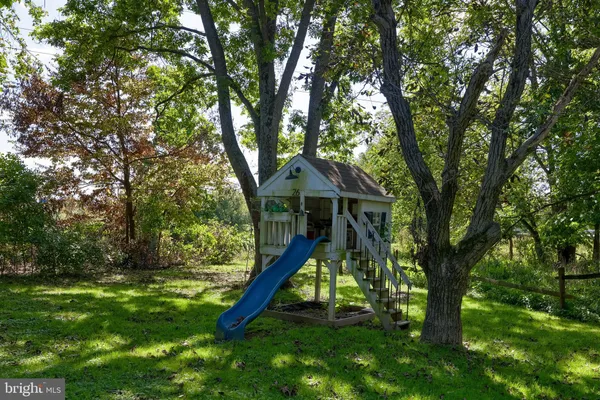 a house that has a tree in it