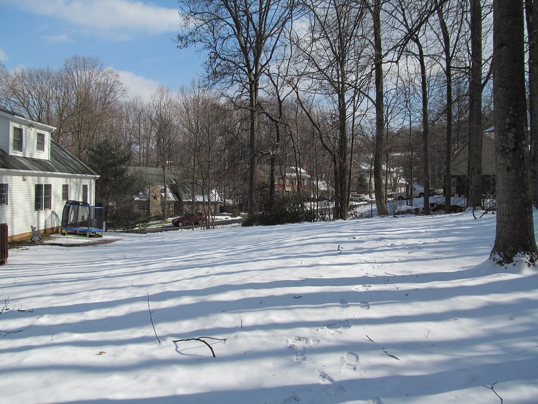 185 Jonathan Road Roanoke, VA 24019 - Photo 7 of 25 Yard