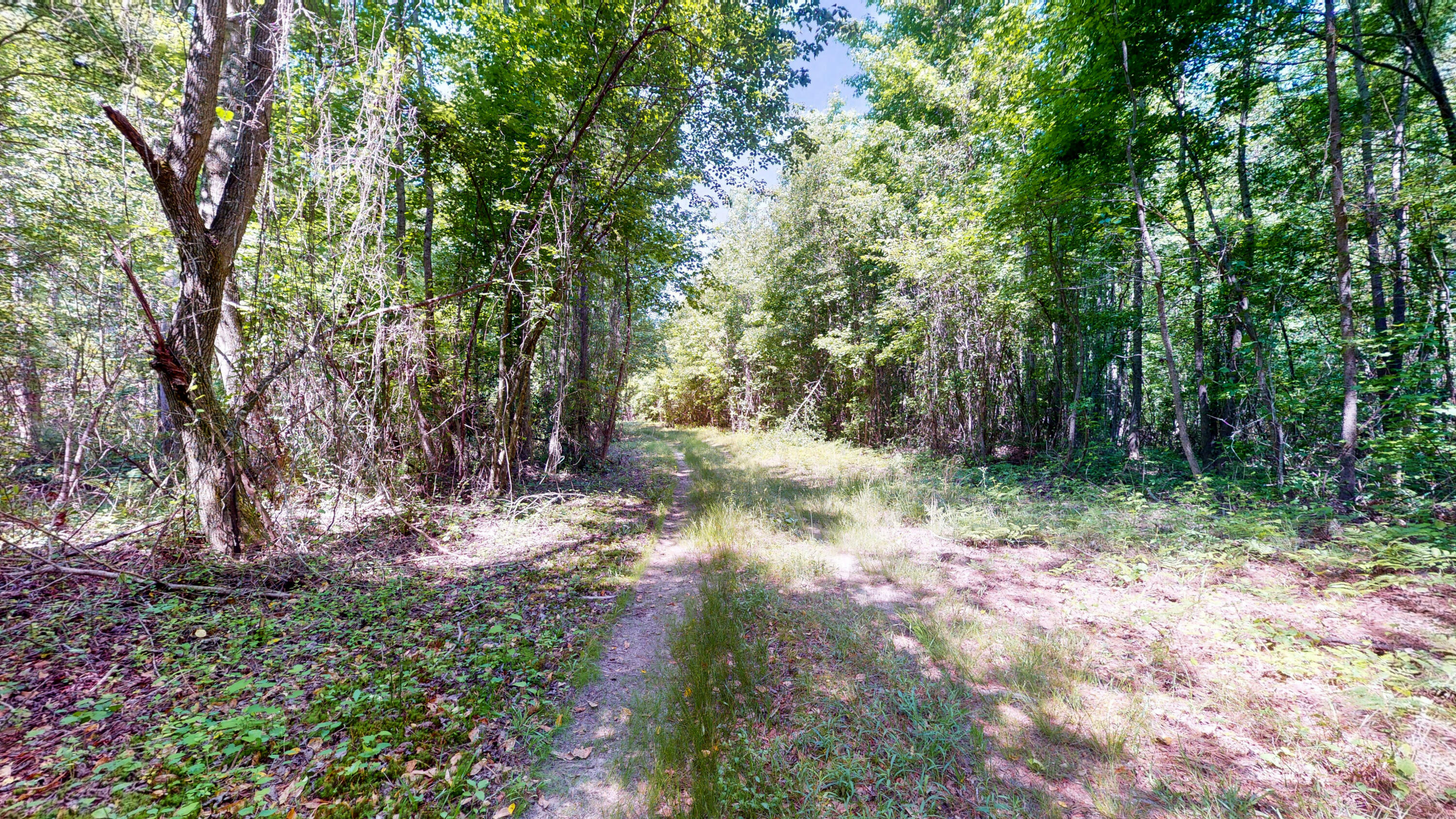 260 Holmes Pond Road Johnston, SC 29832 - Photo 9 of 16