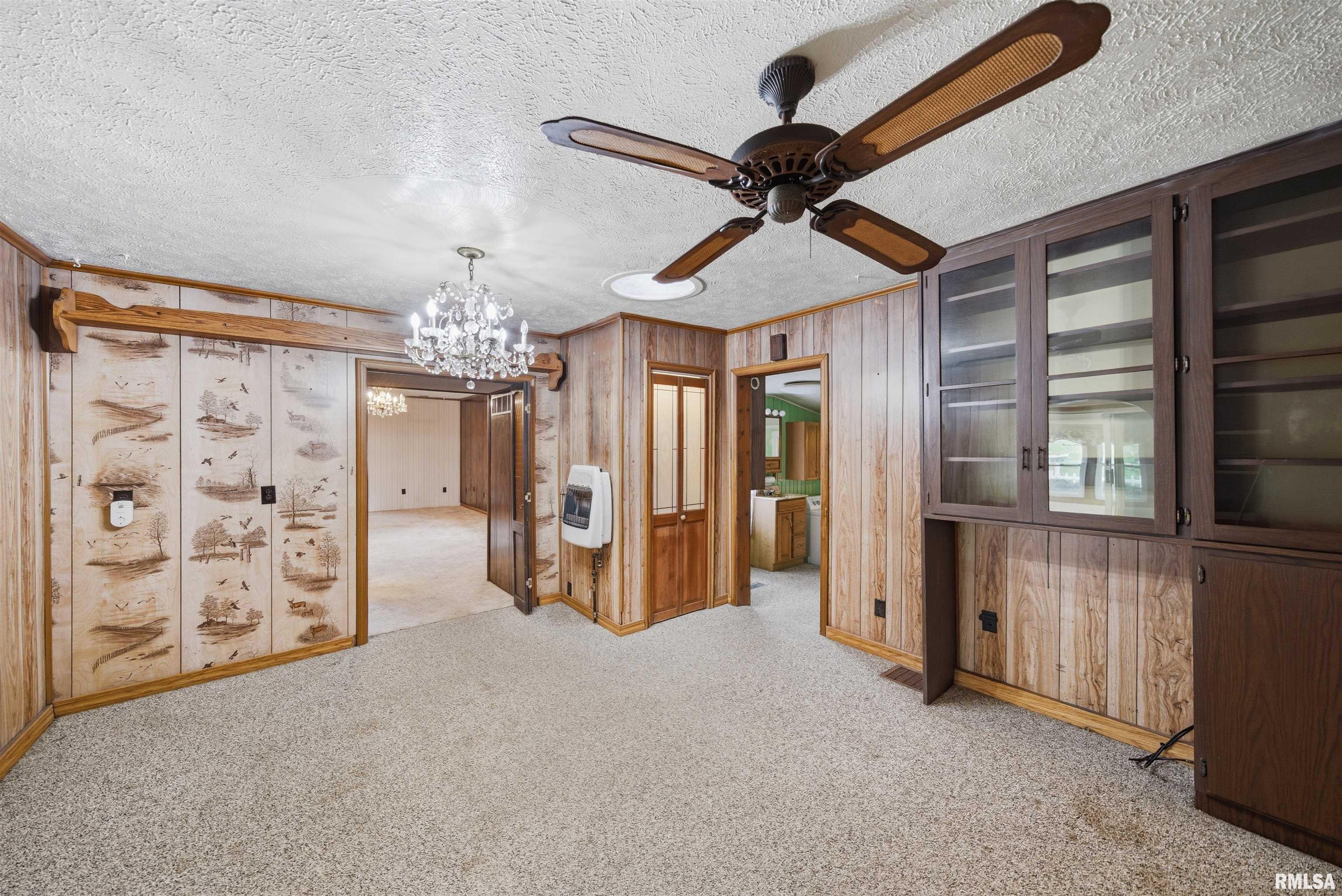 105 West C Street Delavan, IL 61734 - Photo 5 of 73