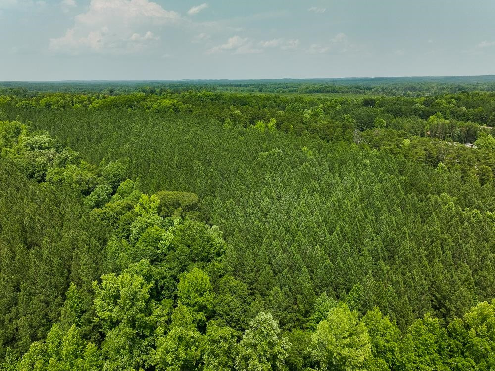 0 Mill Creek Road Roxboro, NC 27574 - Photo 49 of 54 Photo 49