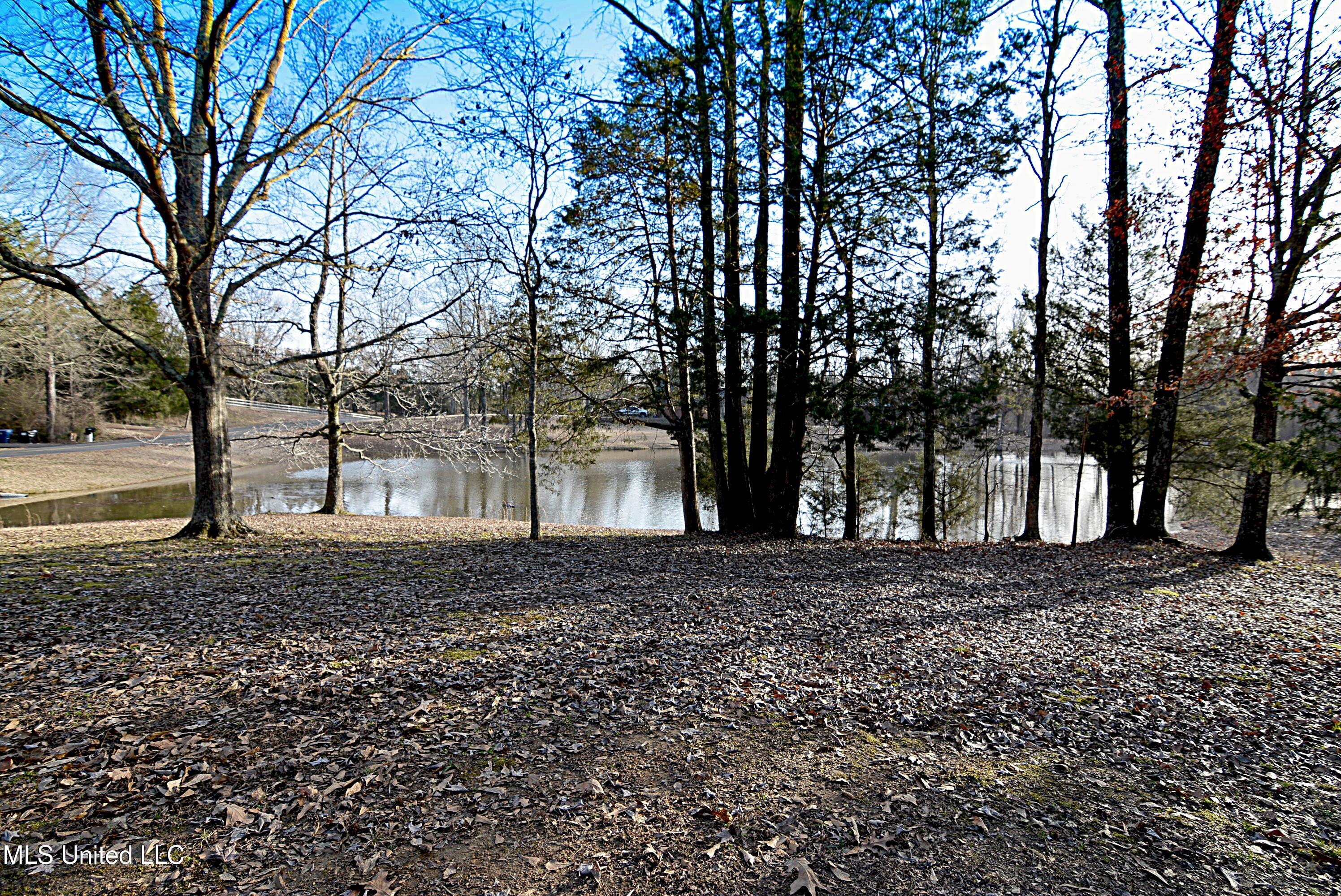 8643 Tulane Road Hernando, MS 38632 - Photo 38 of 40 Pond View