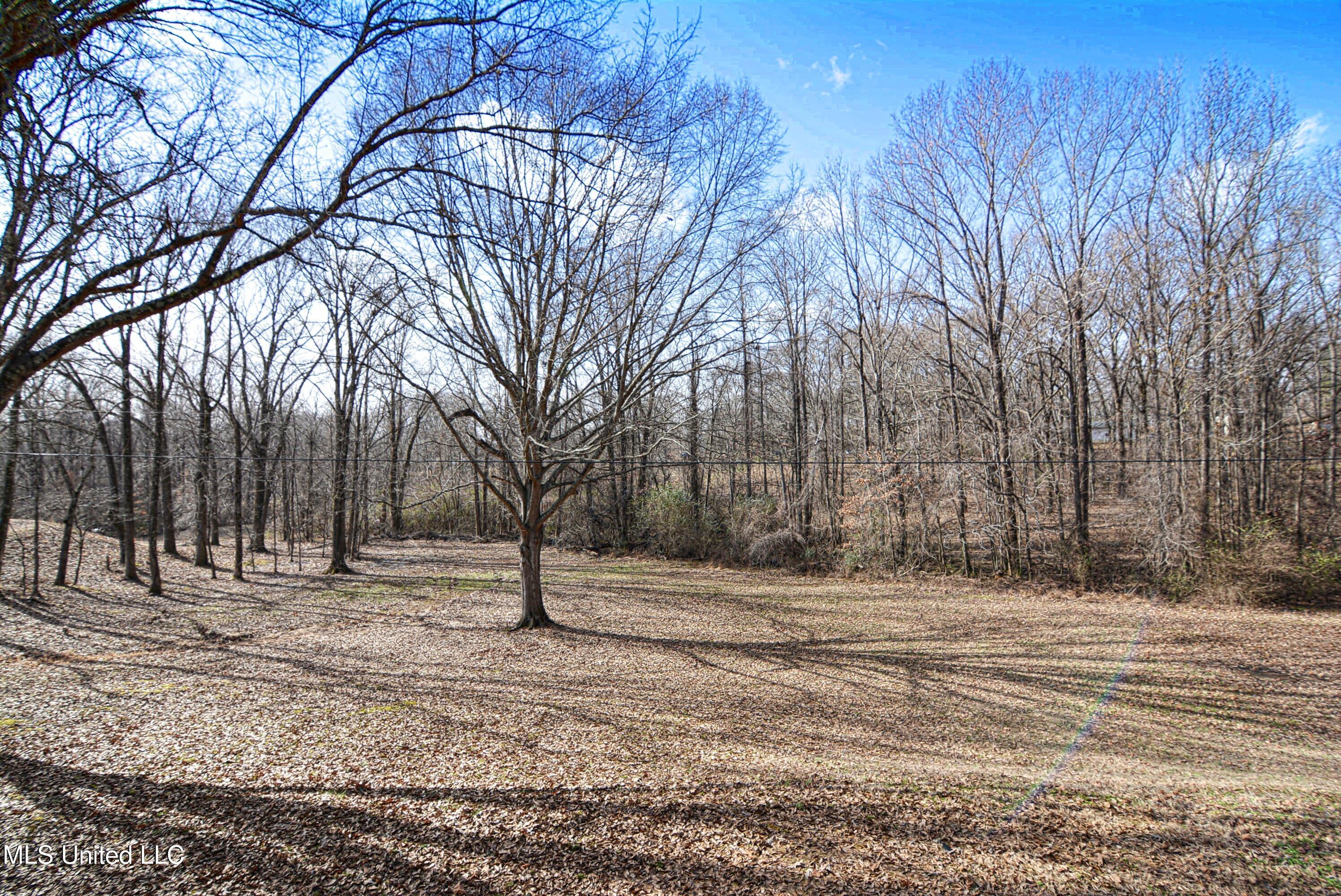 8643 Tulane Road Hernando, MS 38632 - Photo 39 of 40 Back Yard