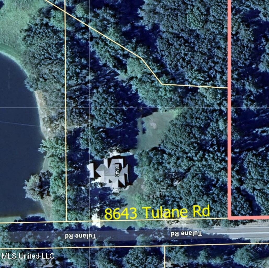 8643 Tulane Road Hernando, MS 38632 - Photo 40 of 40 Aerial View