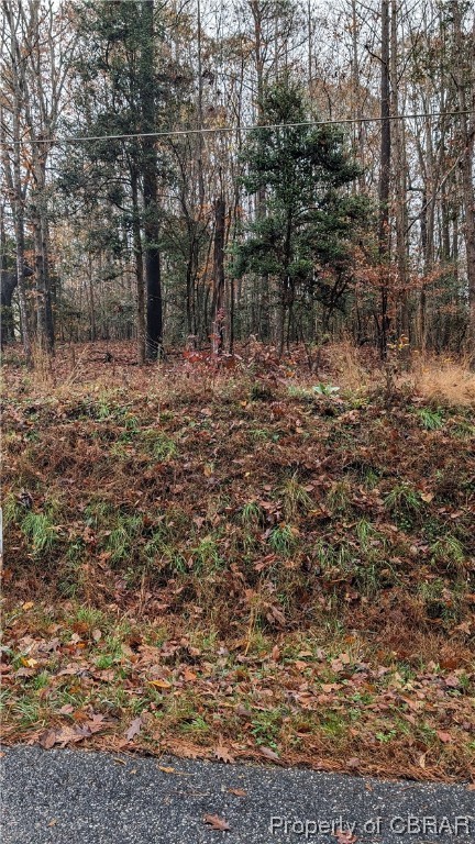 Lot 18 Marlfield Road Gloucester, VA 23061 - Photo 2 of 7 Gallery Image 2