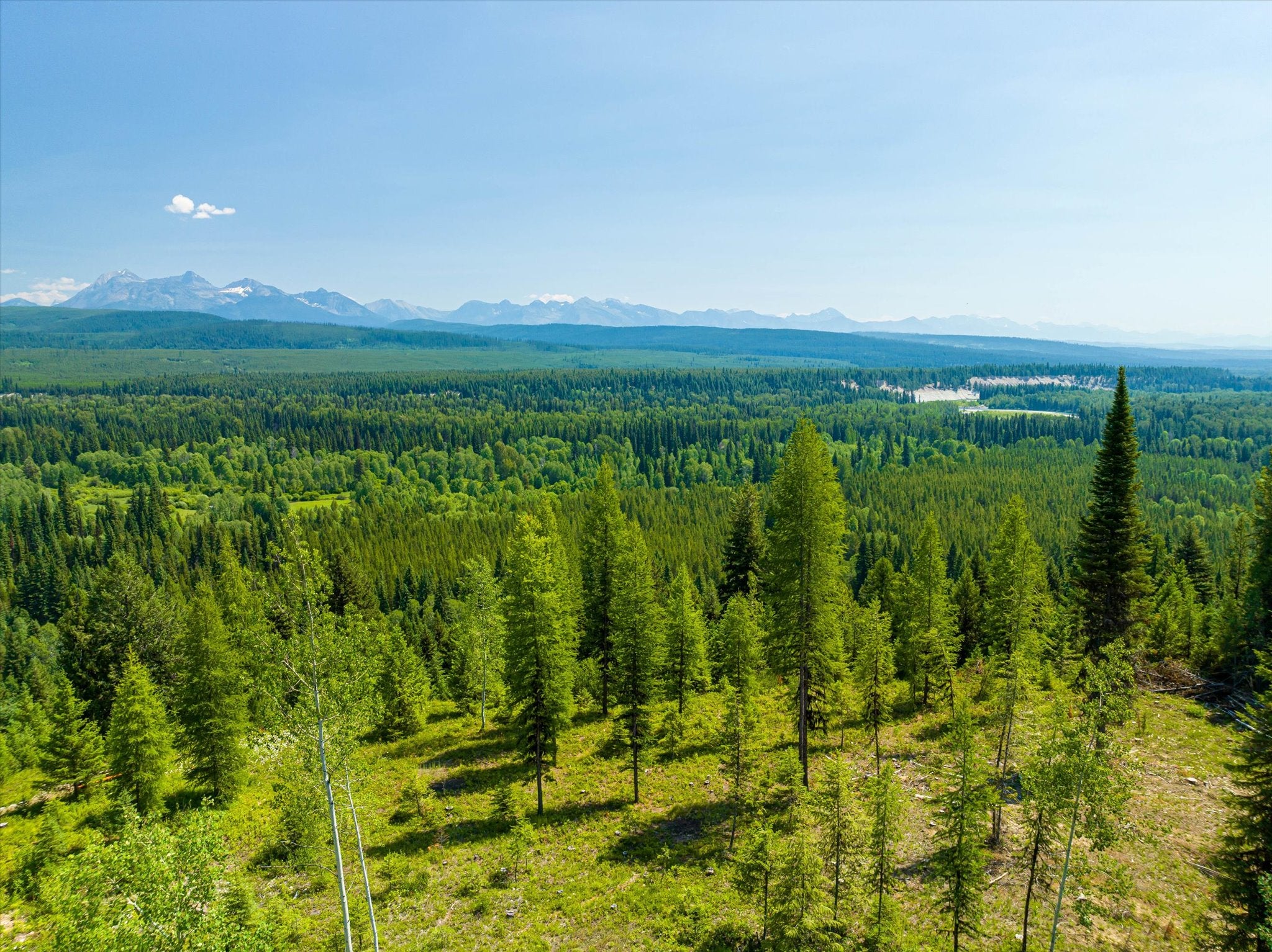 9670 North Fork Road Polebridge, MT 59928 - Photo 75 of 88 Gallery Image 75