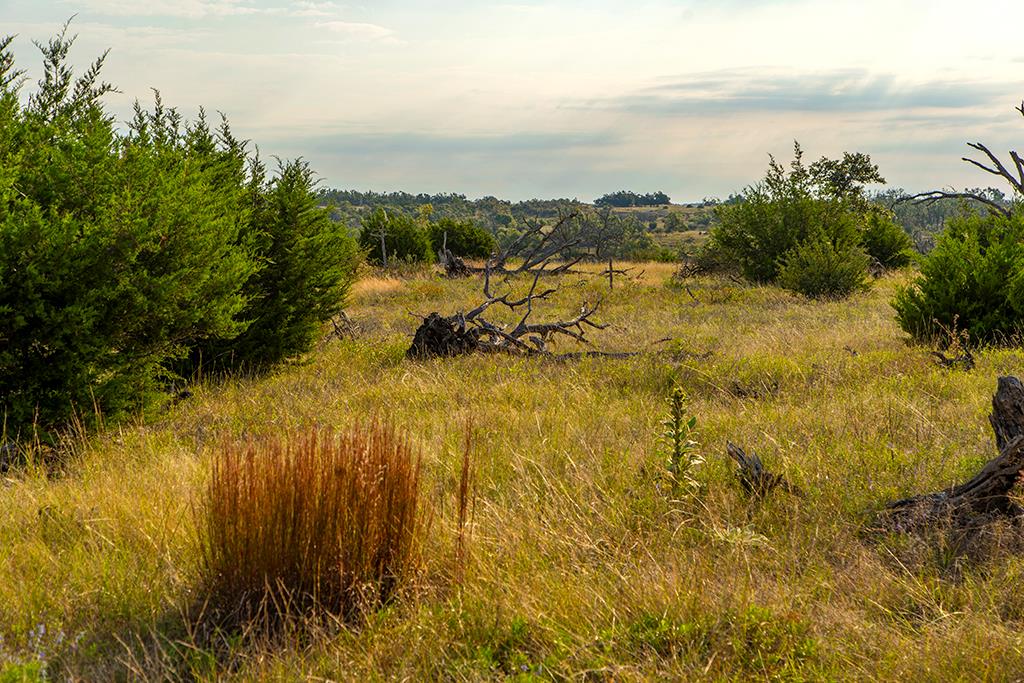 4551 Reeh Road Fredericksburg, TX 78624 - Photo 24 of 69 Gallery Image 24