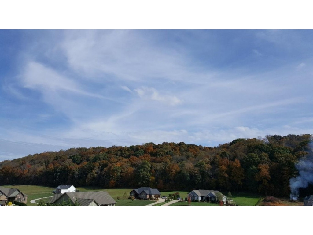 764 Hales Chapel Road Gray, TN 37615 - Photo 24 of 39 VIEW FROM DECK