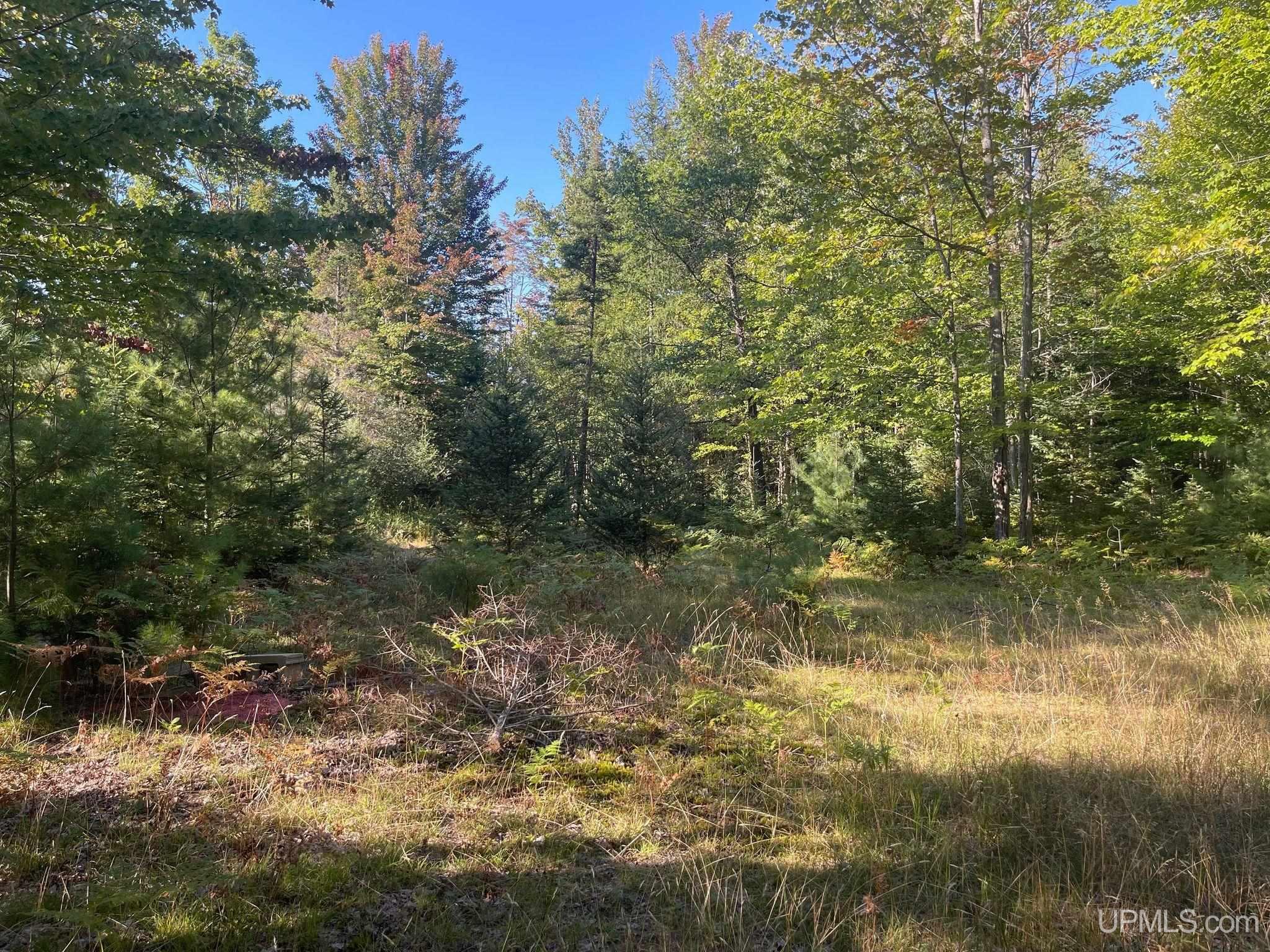 Tbd Danforth Road Escanaba, MI 49829 - Photo 3 of 8