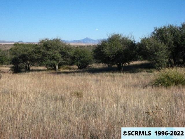 Xx Running Iron Ridge Silver City, NM 88061 - Photo 2 of 16 Gallery Image 2